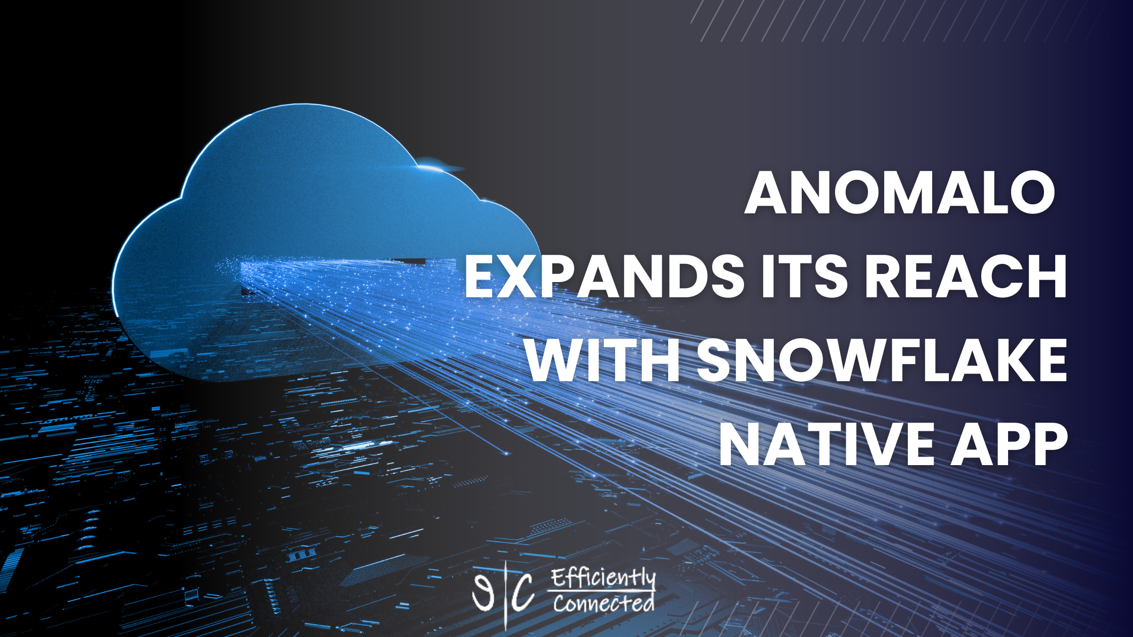 Anomalo Expands Its Reach with Snowflake Native App