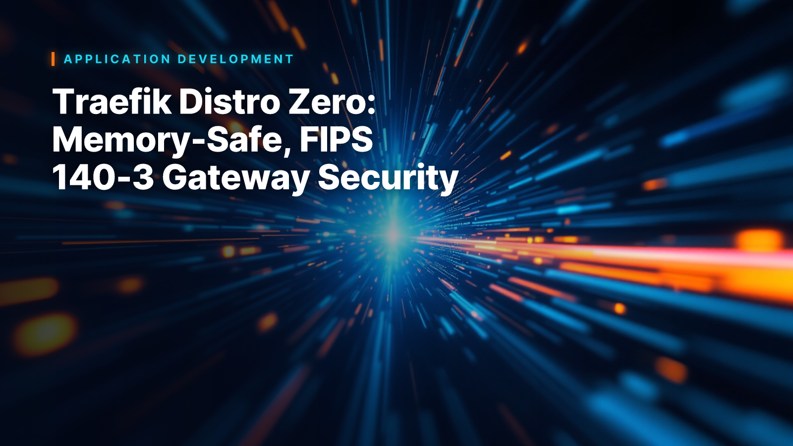 Traefik Distro Zero: Memory-Safe, FIPS 140-3 Gateway Security